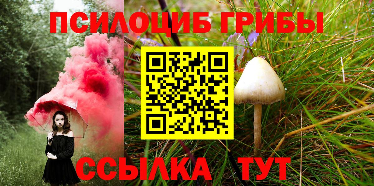 как найти закладки  Псилоцибиновые грибы Magic Shrooms  Вход с VPN  Самара  Псилоцибиновые грибы Psilocybine cubensis 